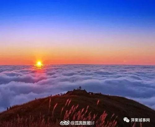 武功山景点爆料视频最新,云端仙境,徒步天堂全景大曝光